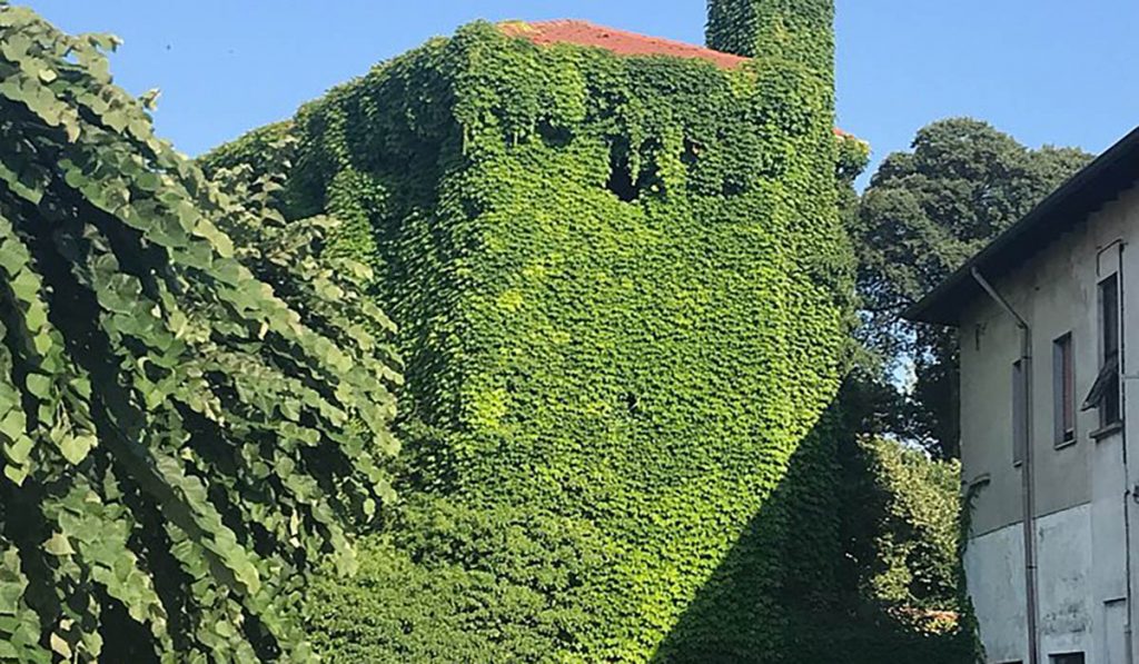 Infedeltà Coniugale Ossona